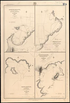 Raritona Harbour, Island Ya-Asaua, Asaua Group ; Emmons Bay, Island of Ya-Asaua, Asaua Group ; Faliki Harbour, east side of Androna, Asaua Group ; Pulotu Harbour, Asaua Group