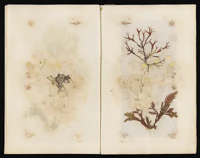 p. 49