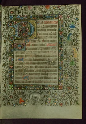 p. 24