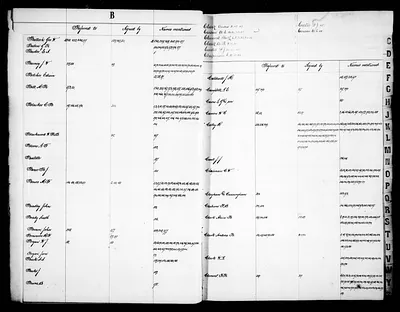 p. 8