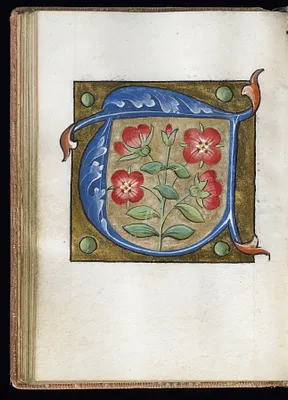 Leaf from Alphabet Book