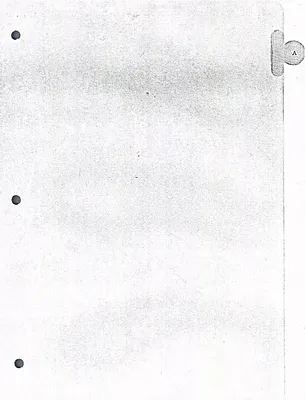 p. 19