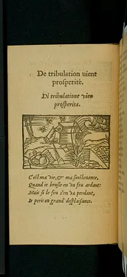 La fleur des sentences certaines, apophthegmes, et stratagemes, tant des anciens, que des modernes : enrichy de figures, & sommaires Franc¸oys, & Italiens, propres a` chascune sentence.