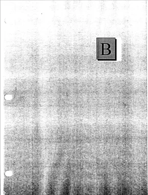 p. 31