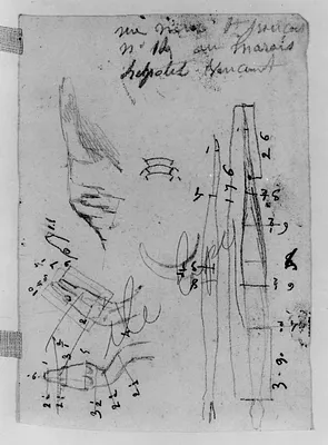 Sketches of a Snake with Measurements