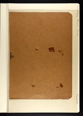 p. 3