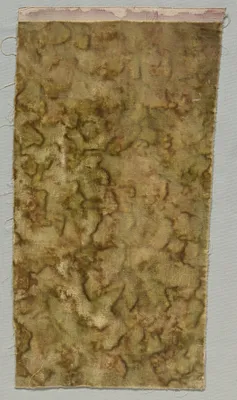 Stencilled Velvet