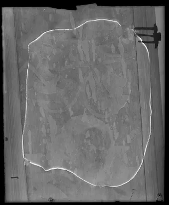 p. 5