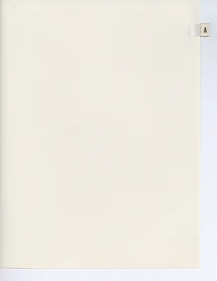 p. 20