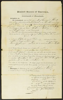 p. 12