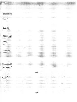 p. 50