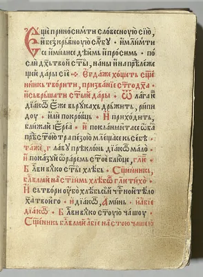 p. 53