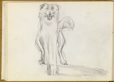 p. 6