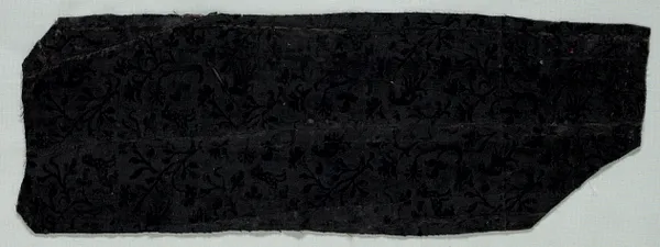 Velvet Fragment
