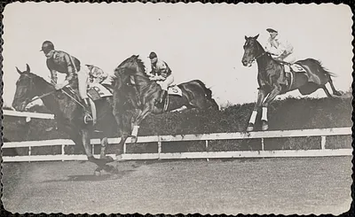 Horse race in acation [i.e. action]