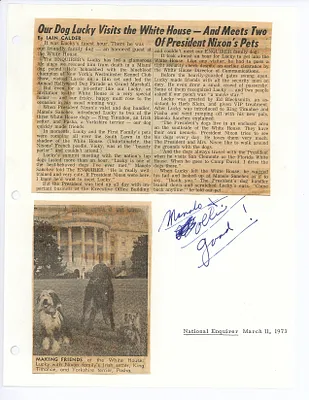 p. 33