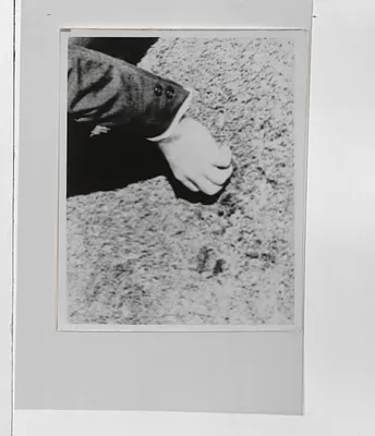 p. 19