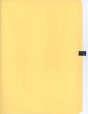 p. 39
