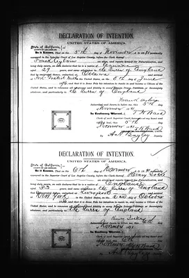 p. 8