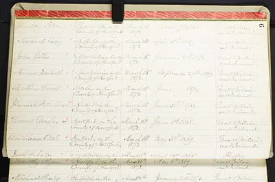 p. 8