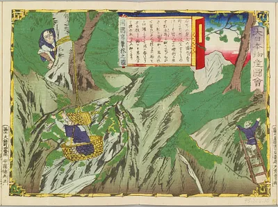 p. 11