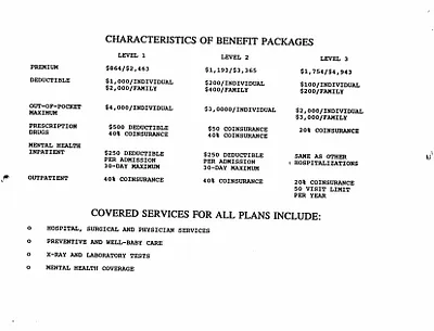 p. 3