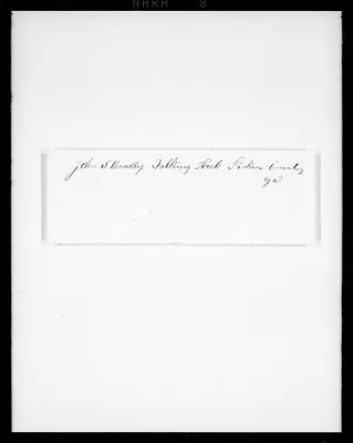 p. 8