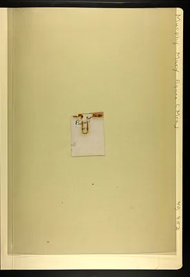 p. 49