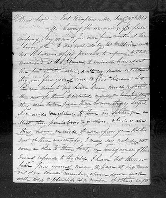 p. 44