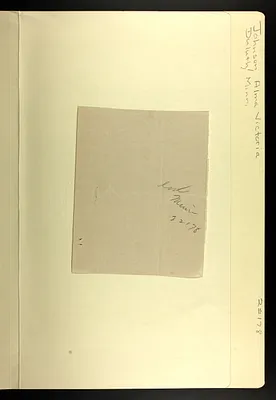 p. 19