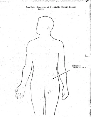 p. 38