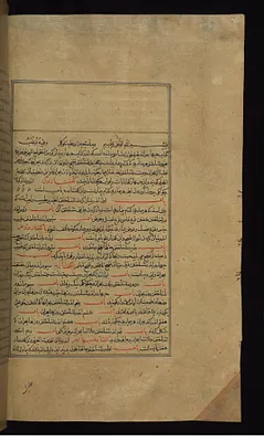 Leaf from Compendium of Medicine