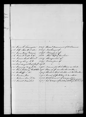 p. 43
