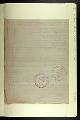 p. 29