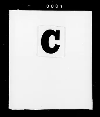 p. 4