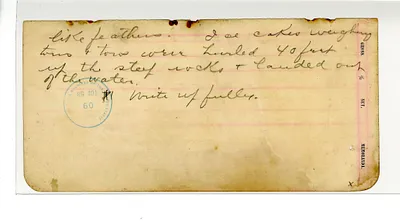 p. 10