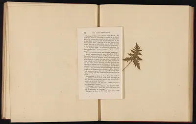 p. 31