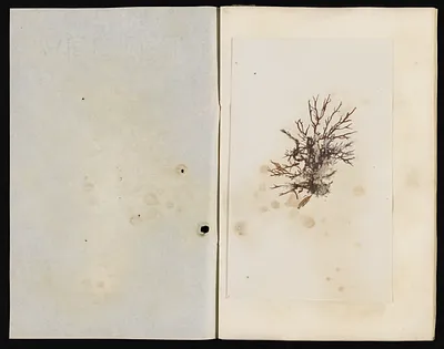 p. 42