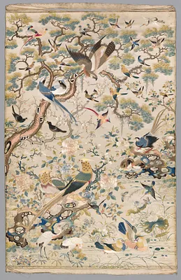 A Myriad of Birds