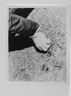p. 17