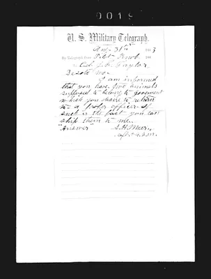 p. 29