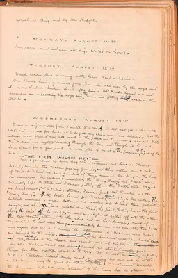 p. 48