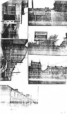 p. 7