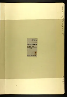 p. 20