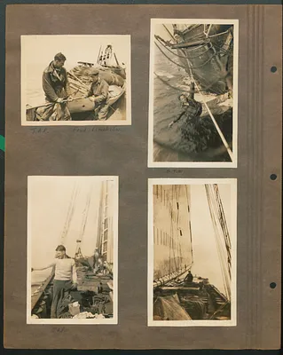 p. 2