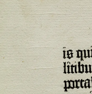 Biblia Latina