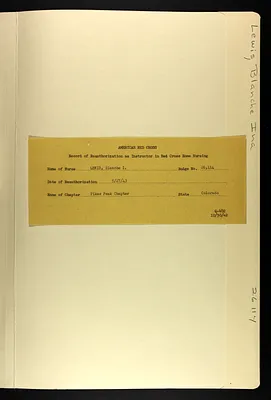 p. 31