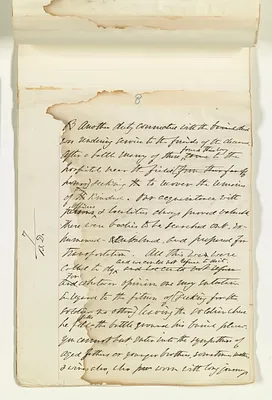 p. 11