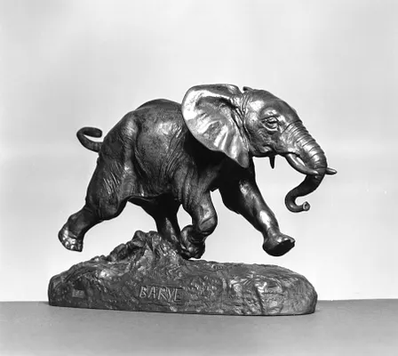 African Elephant Running
