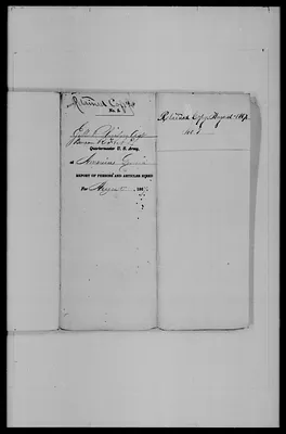 p. 43